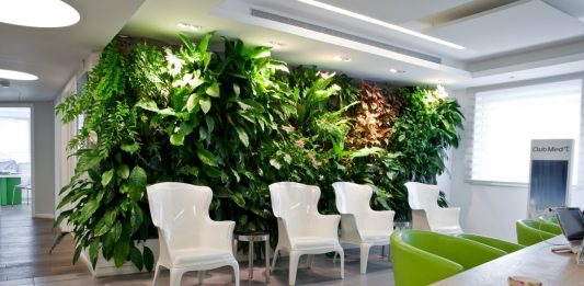 קיר שהוא כולו חגיגה לעיניים – קירות ירוקים לעיצוב פנים משגע