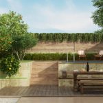 כך תעצבו את הגינה הפרטית שלכם