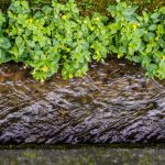 כיצד נמנעים מהצפות ומה עושים כשיש הצפה