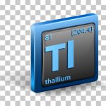 הכירו את הפסולת ששווה המון כסף