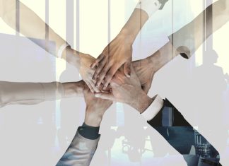 ייעוץ עסקי לעסקים קטנים