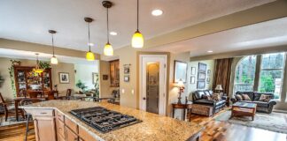 השכרת דירה חיפה