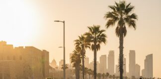 מונית לנתב"ג תל אביב